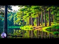 Relaxing Sleep Music + Insomnia: Stress Relief, Relax, Sleep, Spa &amp; Meditation Music, Heart Healing