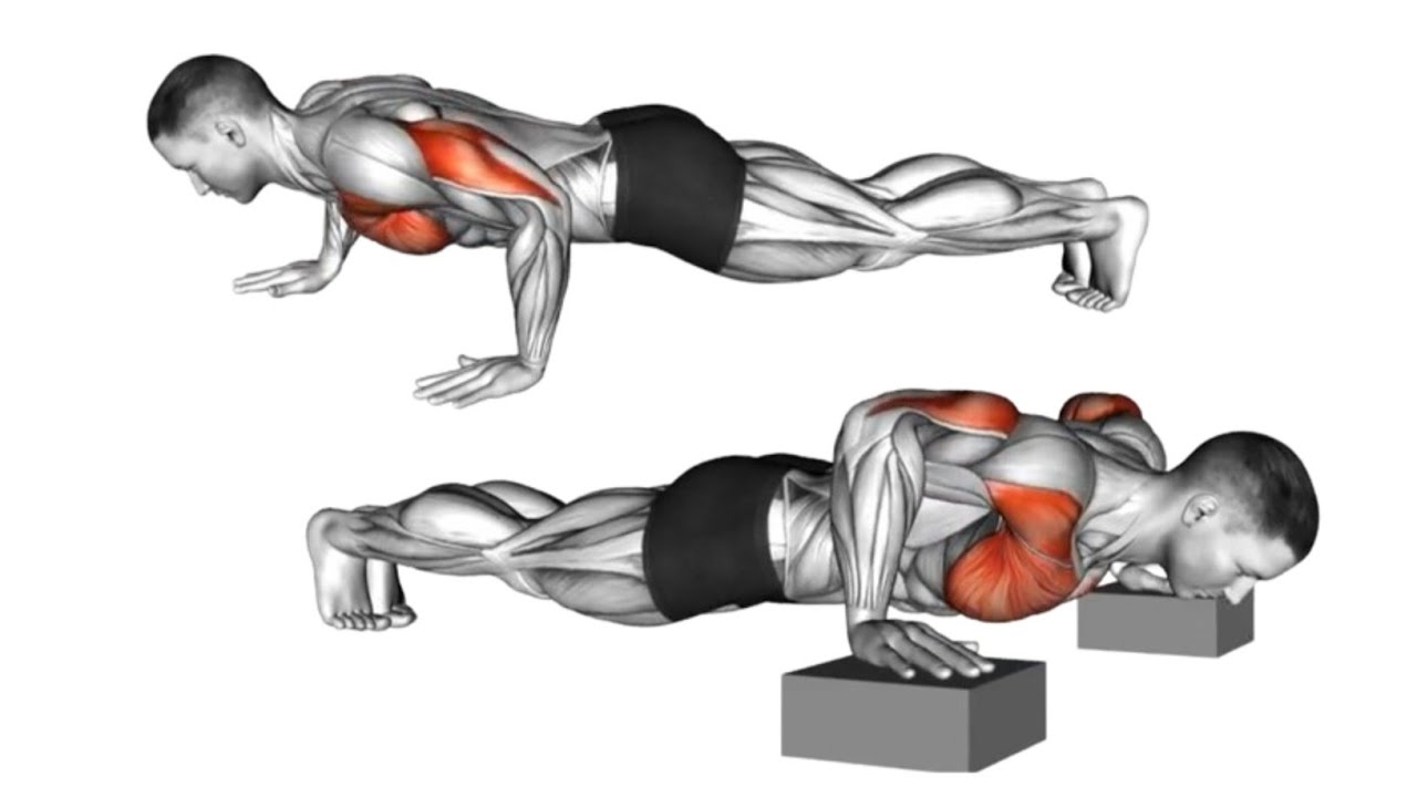 CHEST WORKOUT || Best Chest Workout at Home without equipment - YouTube
