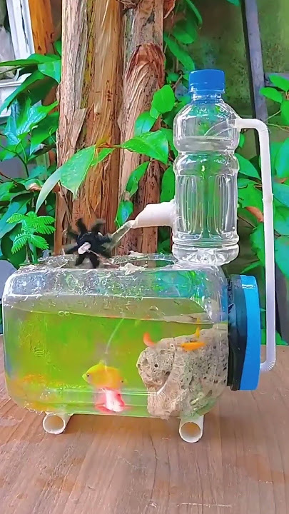 akuarium mini air mancur tanpa pompa pake toples dan botol bekas