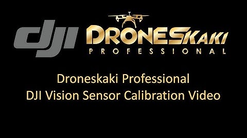 DJI Vision Sensor Calibration Video| Droneskaki Support