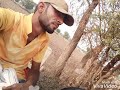 Desi Desi na boliya re Mp3