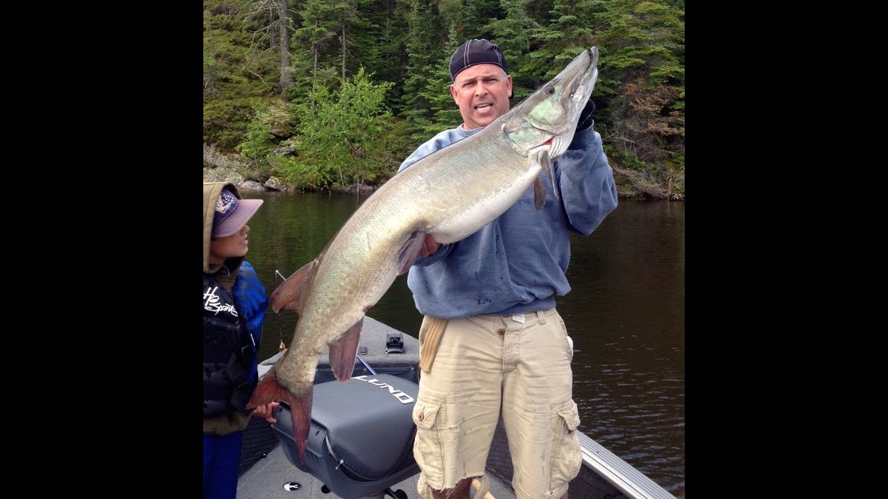 53" Muskie Minaki 2014 YouTube