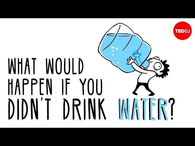 What would happen if you didnt drink water? - Mia Nacamulli