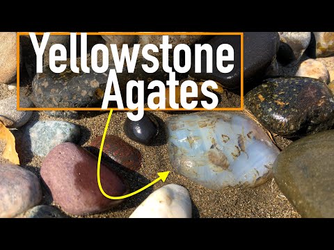 Why They Call it the "Treasure State" | Gemstone Hunting for Yellowstone River Agates in Montana