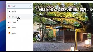 lingtube language learning extension