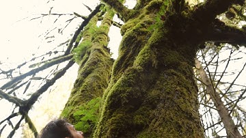 Week 3 Overview: Design Methods and Principles