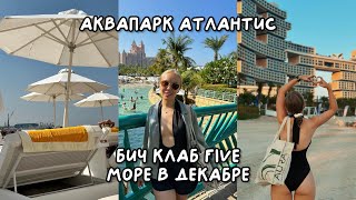 влог со стюардессами из Дубая: аквапарк Atlantis, отдых в декабре, русский ресторан zoloto