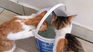 Mother And Child Drinking Together