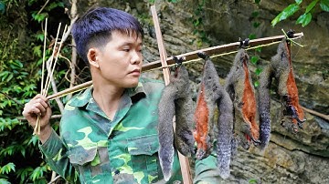 Survival in the wild, Shoot squirrels, find food in the deep wild forest, survival skills