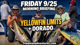 Morning Briefing: Bigeye, Yellowfin, Marlin, Dorado & Turtle Nest 🐢
