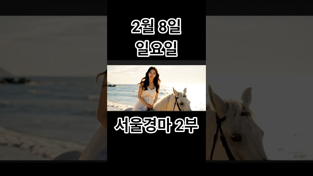 2월8일【일요경마】서울경마【Ⅱ편】복병마해설😊경마예상💥하이라이트🐎다크호스경마⚡경마예상👌경마🎈경마장😊경마방송🐎경마예상방송🫏경마하이라이트🥎경마예상 실시간🚩경마예상가🏐경마정보💥경마공원