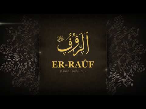 067 Er Rauf