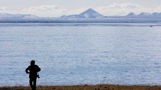Reykjavik Earthquake and Volcano Update and the Bigger Picture