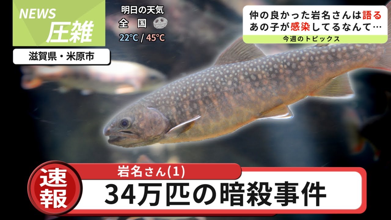 【悲報】水産業界を震撼させるヤバい病の影が薄すぎる