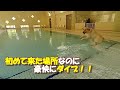 初めて水の中で泳いだラブラドールレトリバー【こまちの日常動画】