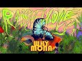 Why Mona Rabbit Hole 