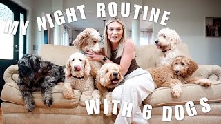 MY NIGHT ROUTINE WITH 6 DOGS | 4 Goldendoodles AND 2 Poodles