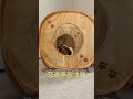 正面衝突