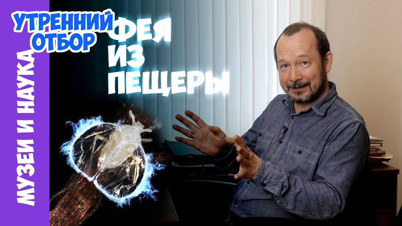 Необычный новый вид пещерных насекомых - фея из подземного мира. Игорь Фадеев