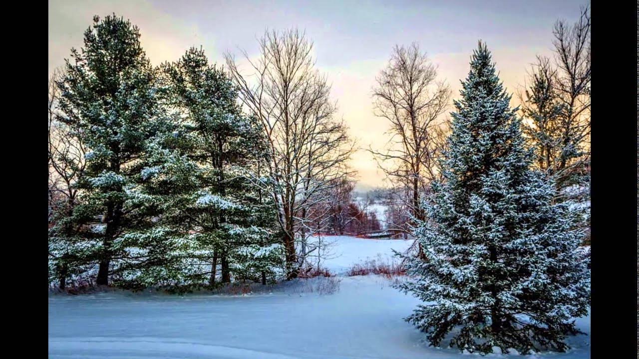 Зима декабрь фото Pin by Irina Koslow on Времена года Winter wallpaper, Snow pictures, New nature