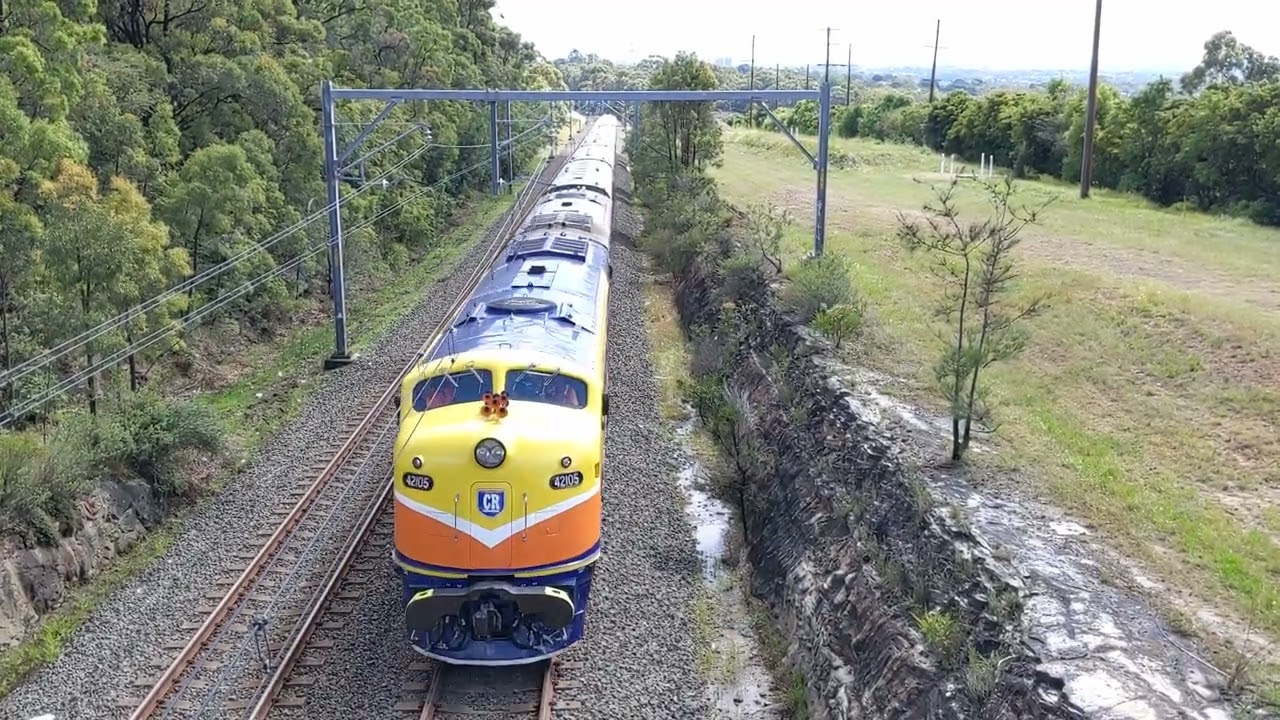 5L21 30th Anniversary Cockatoo Run 23 November 2025 through Surherland 