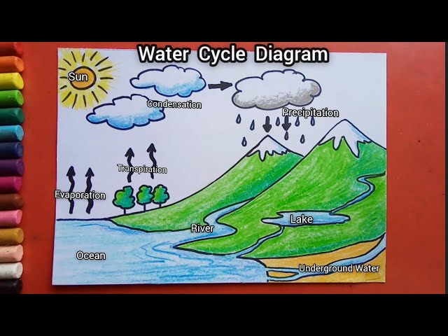 Water cycle diagram for science education Vector Image