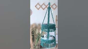 Paws & Play: Cats Enjoying their Macrame Hammock