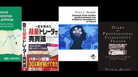 $BTC #Bitcoin Long Form Interview - Peter L Brandt