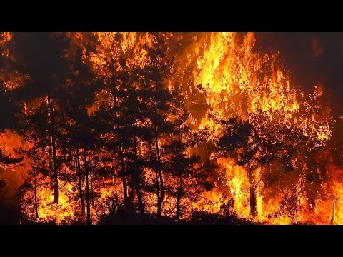 Video: Ölkədəki Böhranı Xarakterizə Edən Nədir