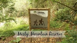 Misty Mountain Reserve&#39;s David Lane Hiking Trail - Tsitsikamma, Garden Route, South Africa