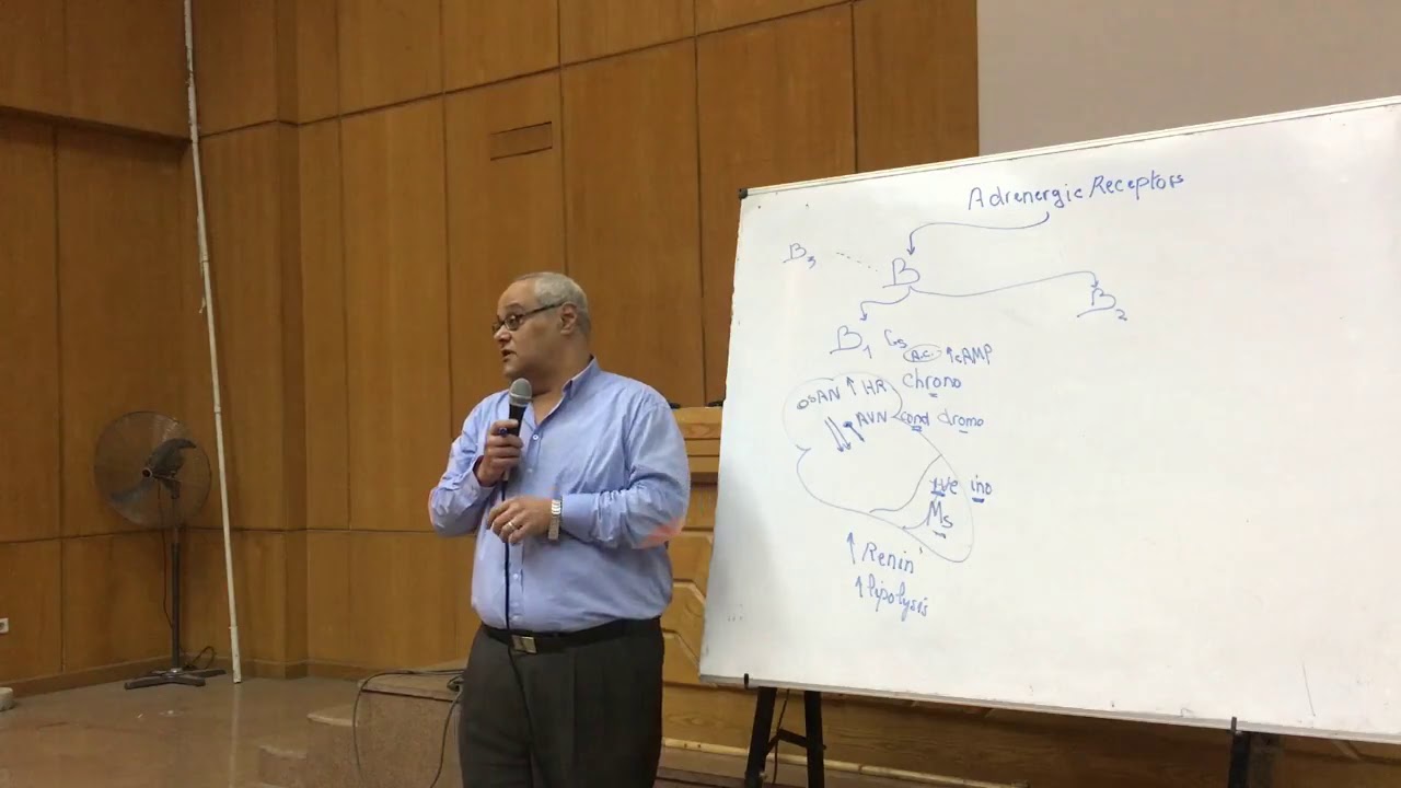 Adrenergic pharmacology 2019: 2-Adrenergic Receptors