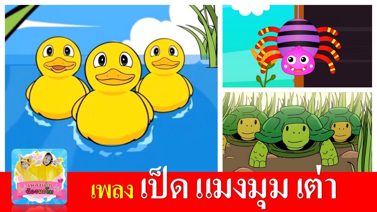 เพลงเด็ก เป็ด แมงมุม เต่า | เป็ดอาบน้ำในคลอง | แมงมุมลายตัวนั้น | เต่าเอ๋ยเต่า