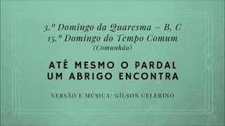 Vídeo de ATÉ MESMO O PARDAL UM ABRIGO ENCONTRA
