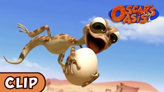 LAVRAPALAVRA : Oscar's Oasis - HUMOR e muita Animação - Esqueça um