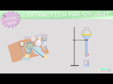 Vidéo: Quelle est la couche aqueuse dans une extraction ?