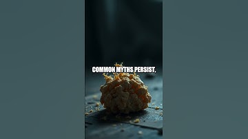 The Expiry Date Myth: What Food Safety Really Means