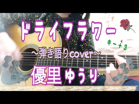 【歌詞付】ドライフラワー／優里(ギター弾き語りfull cover)Dry flower/Yuuri【女性キー(+3)】