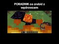 subskrybuj lecimy po 1000