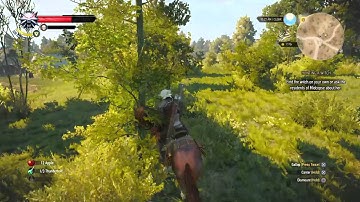 The Witcher 3: Wild Hunt - Horse Dismount Glitch