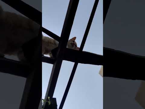 فطين في أيده قلم وكتاب