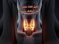 لماذا يخدعك تحليل الغدة الدرقية سر ستانفورد 2026 الذي سيعيد لك طاقتك الغدة الدرقية خمول الغدة