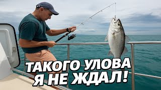 видео: Морская рыбалка 🎣 в Сочи — первый раз и сразу трофей! 🐟 картинка: Морская рыбалка 🎣 в Сочи — первый раз и сразу трофей! 🐟