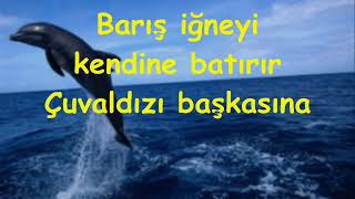 Nane Limon Kabuğu Resimi