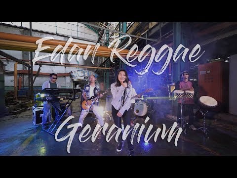 EDAN REGGAE – DHEVY GERANIUM (GERANIUM)