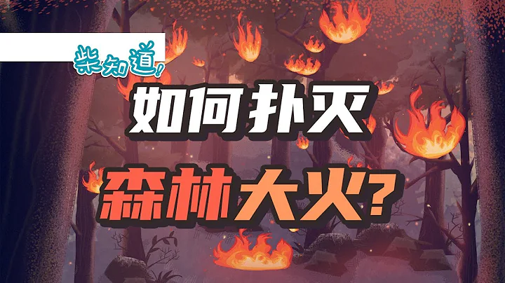 如何撲滅一場森林大火？How to put out a forest fire?丨科普丨冷知識丨柴知道ChaiKnows - 天天要聞