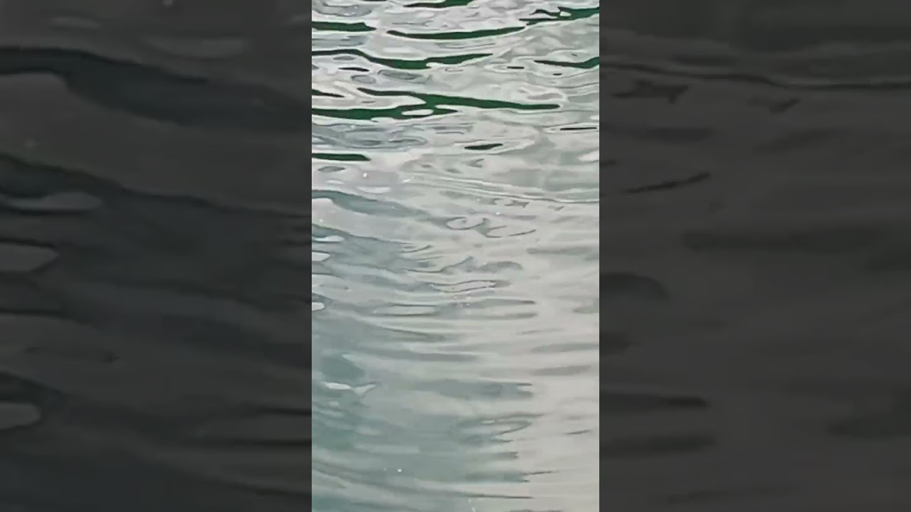 πάμε βόλτα για ψάρεμα καλημέρα