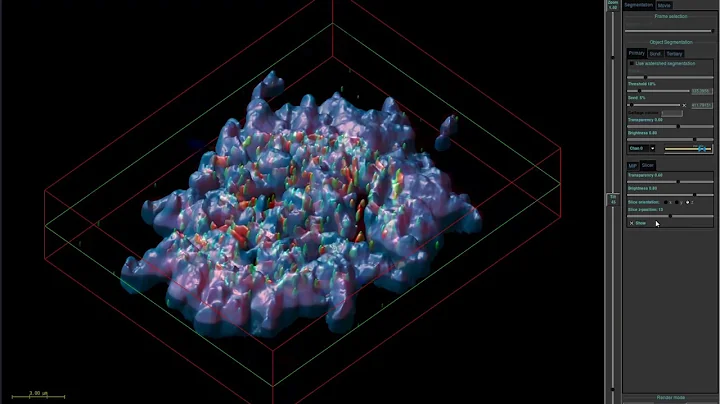Huygens Surface Renderer