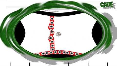 Констракт 2, Бесплатные исходники, touch and throw, физика шара, construct 2