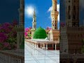 Chor Birk Duniya Ke Mashallah Chor Birk Duniya Ke Mashallah