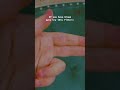 #foryou #trendingvideo #reels #shortvideo #shorts #tiktokvideo